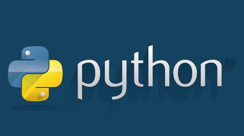 Why is Python preferred for data science over other languages?