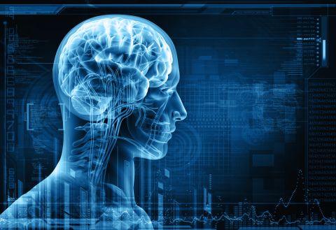 4 Easy Ways To Keep Your Brain Young And Sharp
