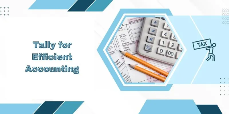 How Can Businesses Leverage Tally for Efficient Accounting?