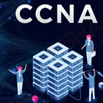 What networking skills can you learn through CCNA?