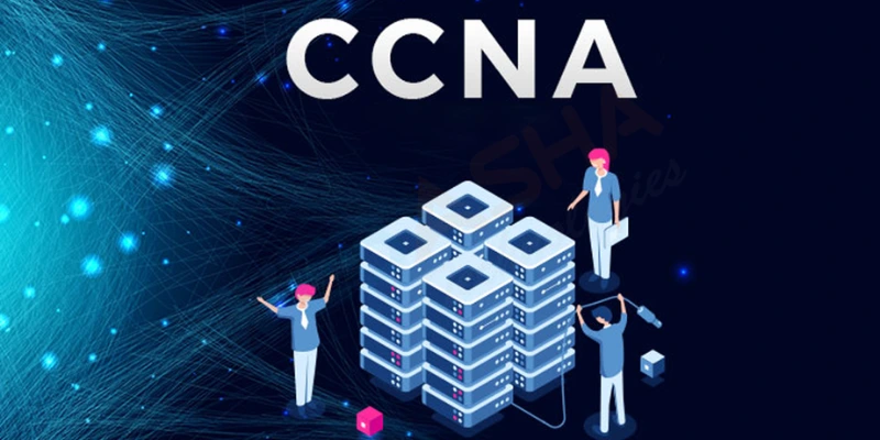 What networking skills can you learn through CCNA?